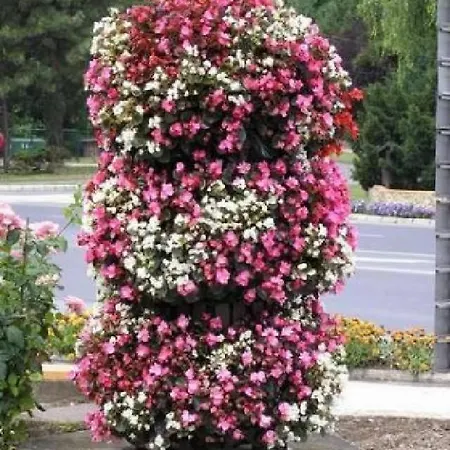 Crystal F * Balatonföldvár