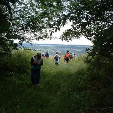 Crystal F Balatonföldvár